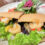 フルーツサンドで有名な、熊本市中央区坪井の【sandwich cafe TATOMIYA（サンドイッチカフェタトミヤ）。ワオッ！フルーツサンドだけじゃなかった！！野菜たっぷりのランチを食す！